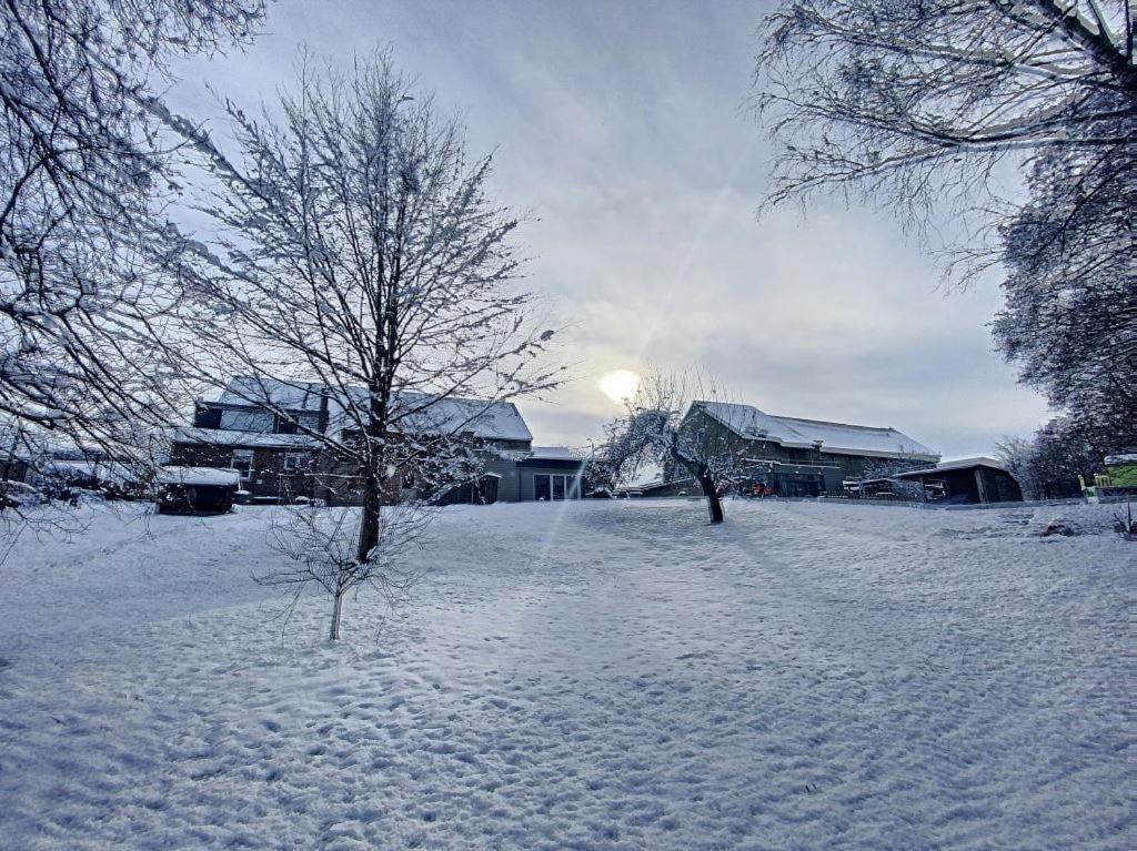 "Sans-Soucis" Ancienne Ferme Pleine De Vie Villa Ту Екстериор снимка